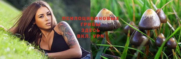 ALPHA-PVP Алексин