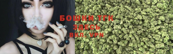 трава Аркадак