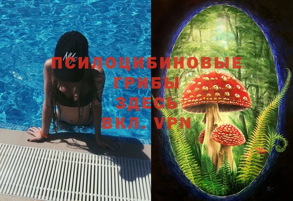 MDMA Алексеевка