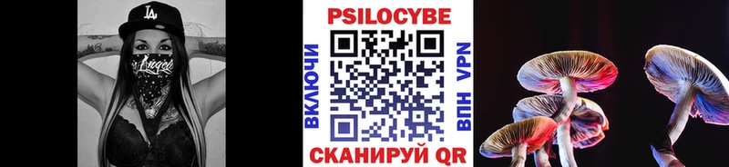 Купить закладки  Теберда  Псилоцибиновые грибы мицелий 